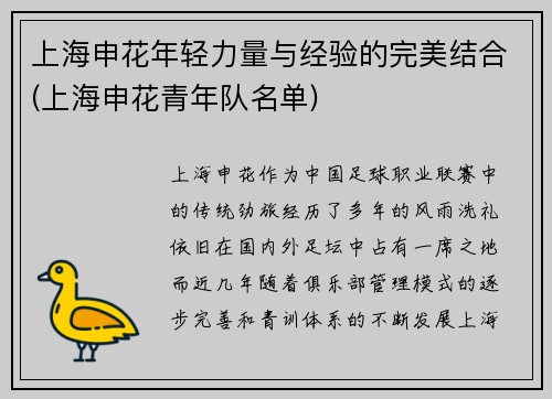 上海申花年轻力量与经验的完美结合(上海申花青年队名单)