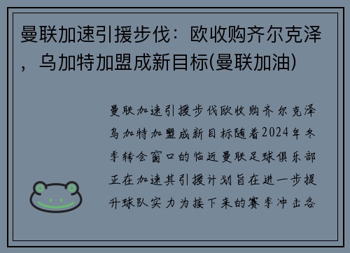 曼联加速引援步伐：欧收购齐尔克泽，乌加特加盟成新目标(曼联加油)